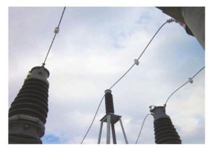 u=290858393,45742539&fm=27&gp=0.jpg u=290858393,45742539&fm=27&gp=0.jpg